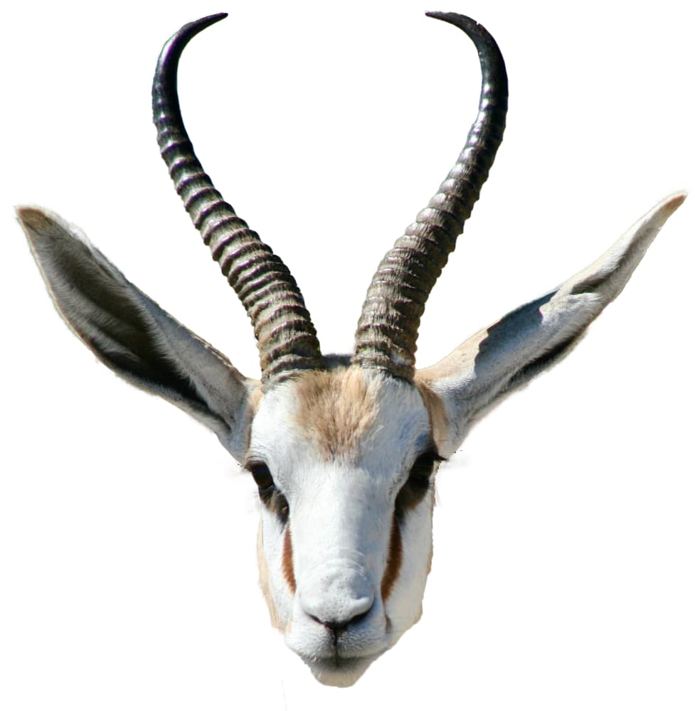 GAZELLEマーク