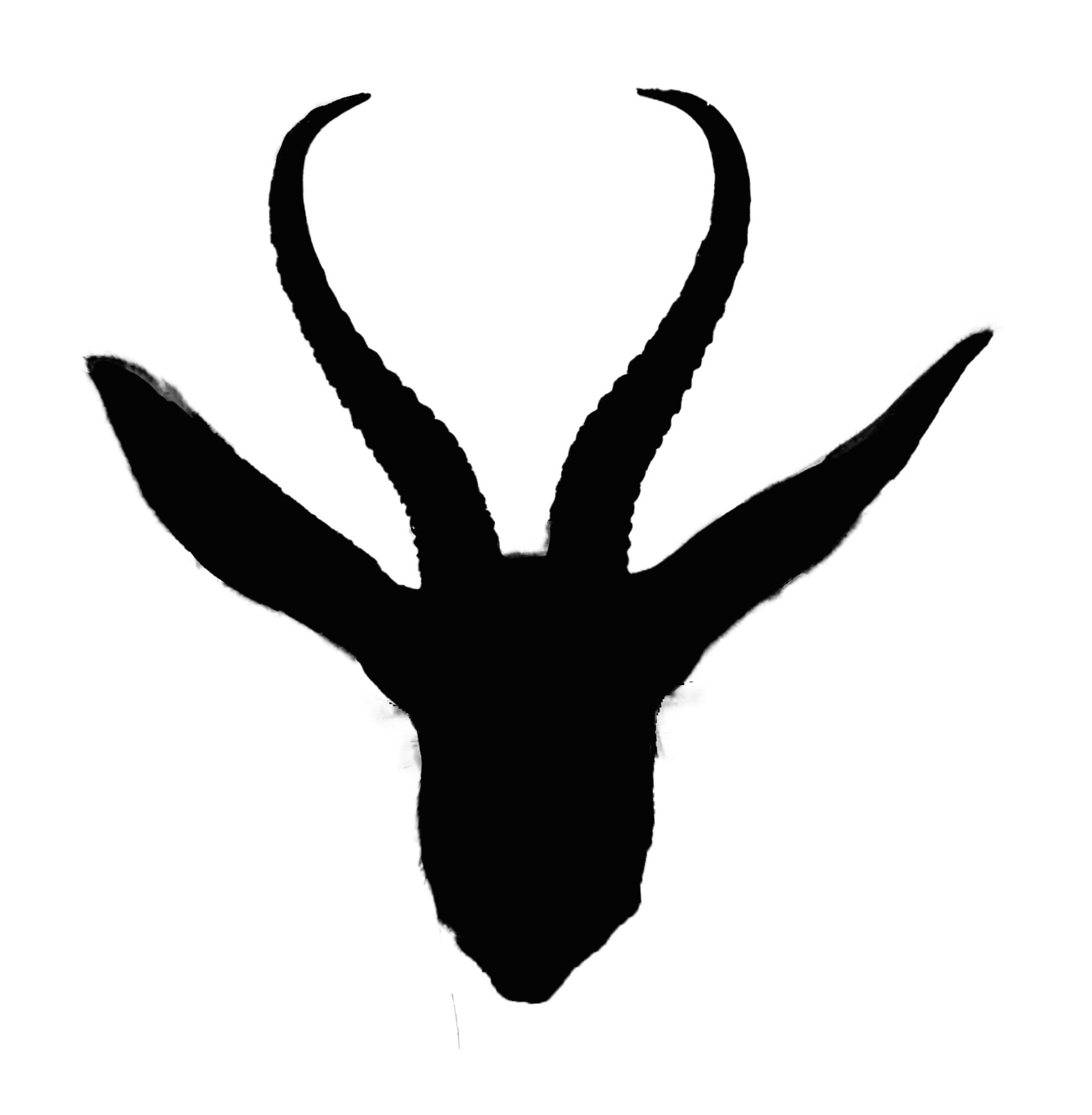 gazelle