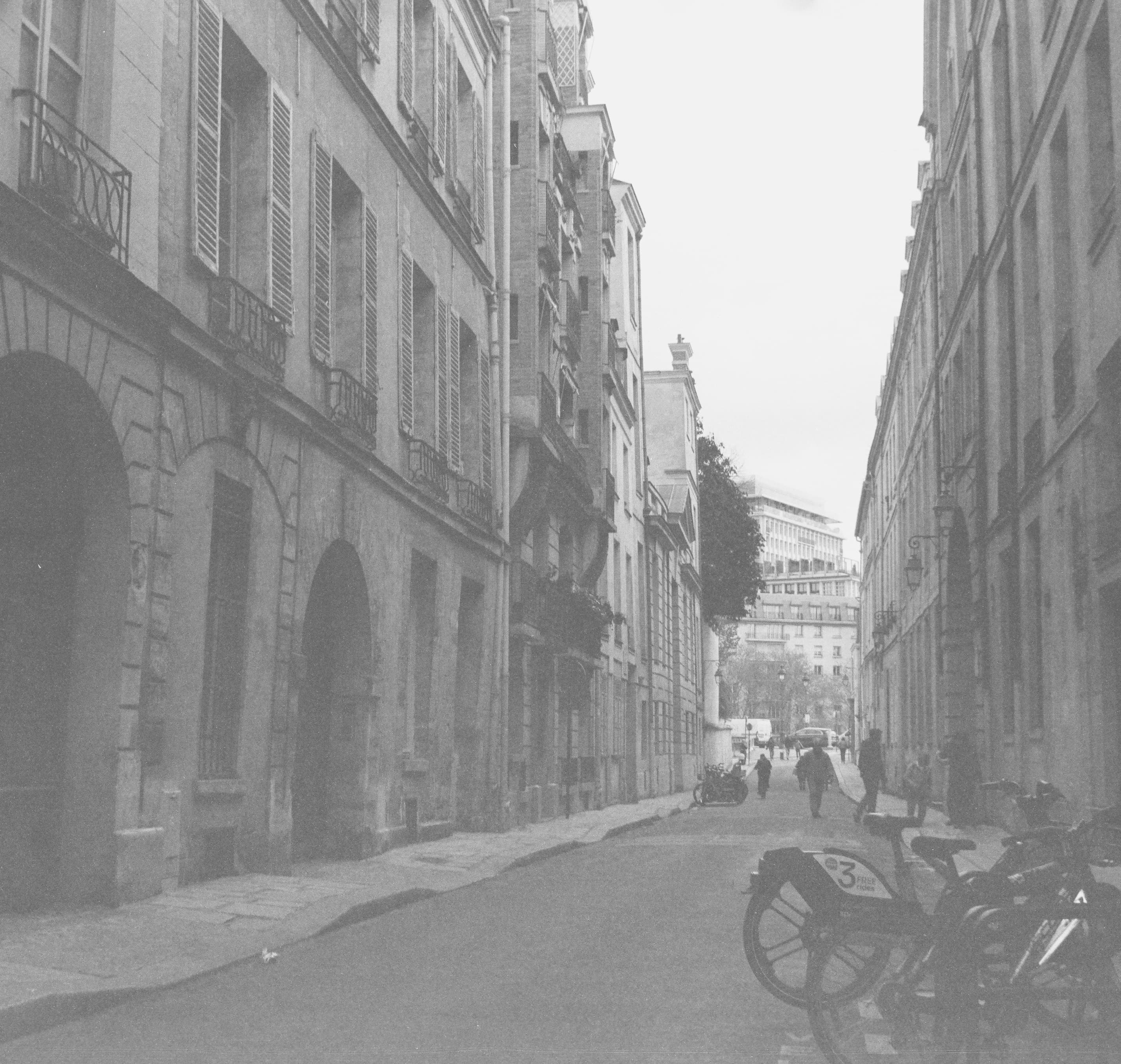 Atelier-GAZELLE Website